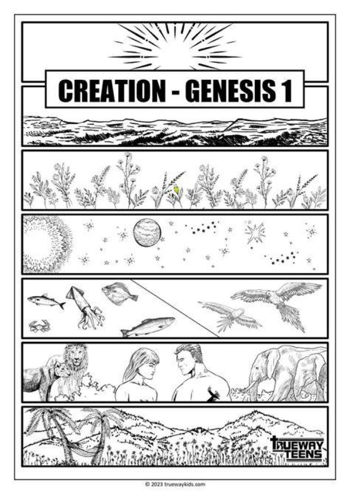 Adult image gallery creation and organization