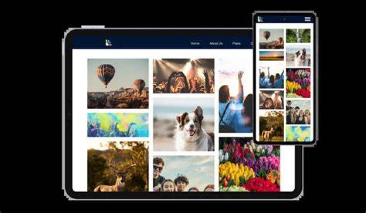Adult image gallery platform overview