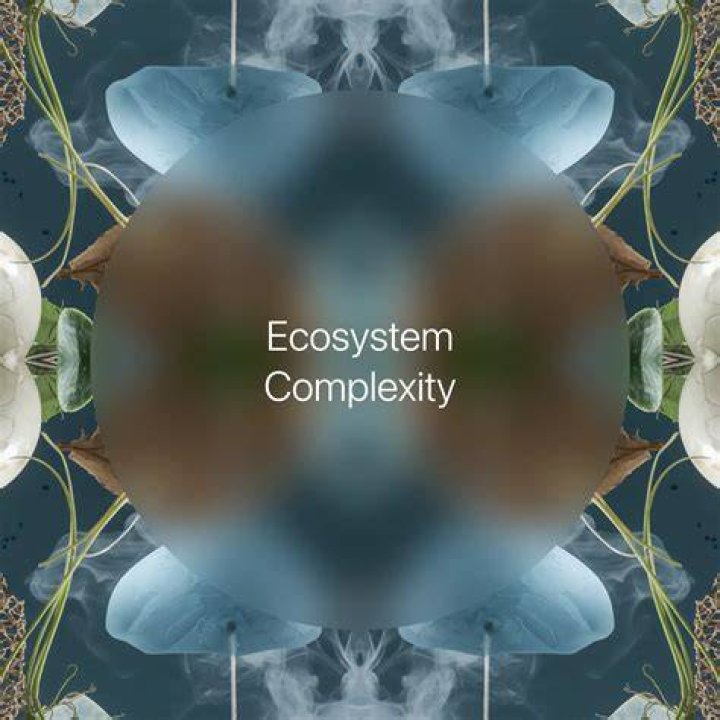 Adult site directory ecosystem
