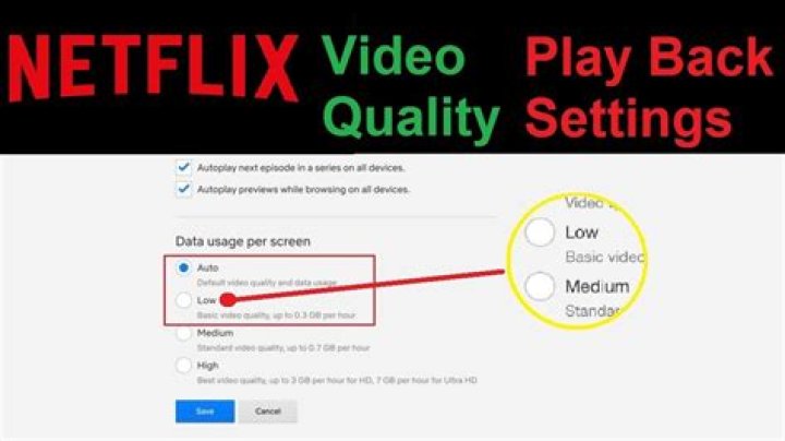 Adult video streaming playback quality online
