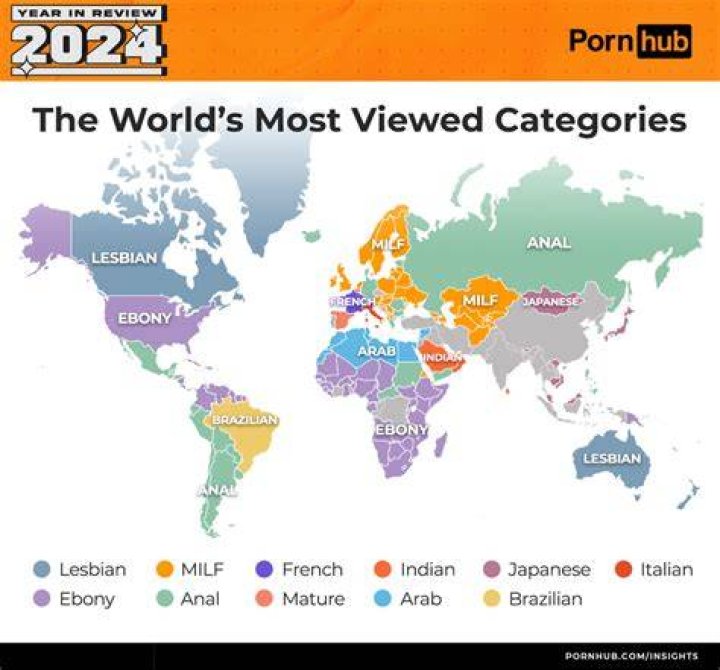Adult video website navigation and search categories