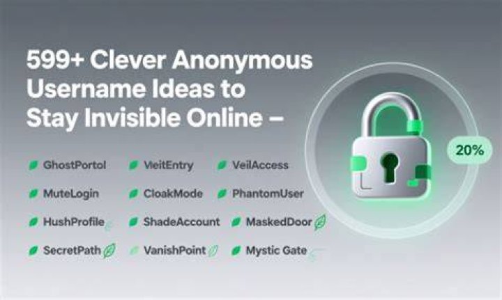 Anonymous username and privacy for online account setup