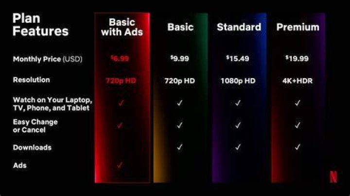 Basic membership plan features on adult video platform