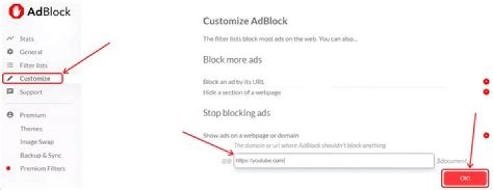 Browser extensions blocking website