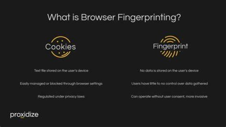 Browser fingerprinting and tracking cookies on adult websites