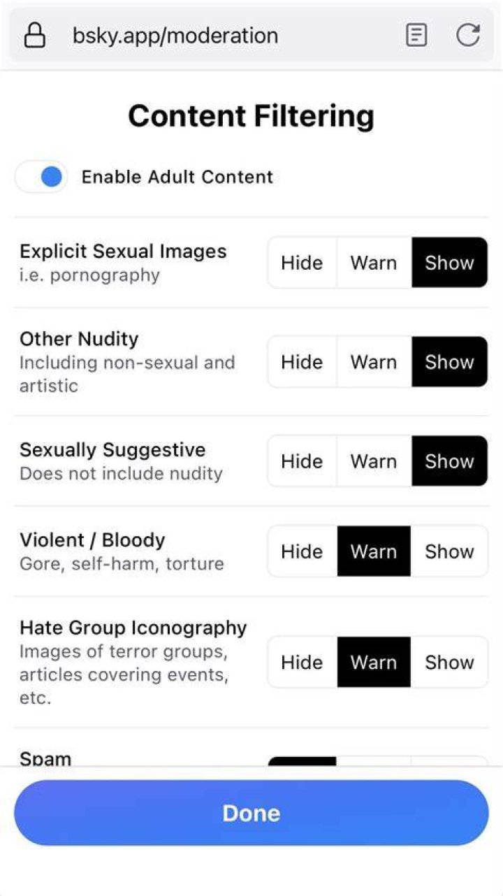 Content moderation and community guidelines adult art platform