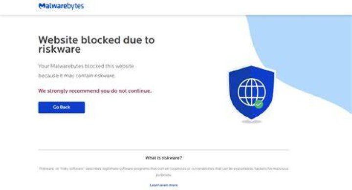 Cybersecurity risks and riskware detection on websites