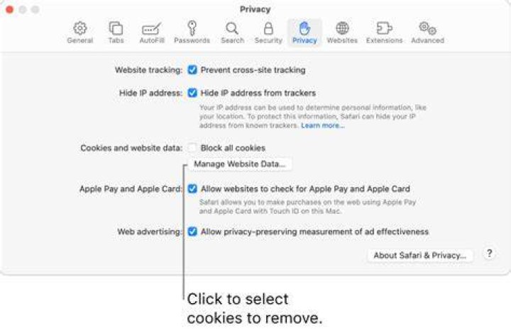 Digital hygiene tips for safe adult content browsing