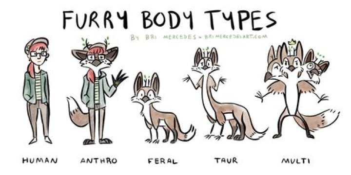 Furry fandom terminology guide for new users