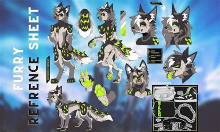 Fursona reference sheet character design