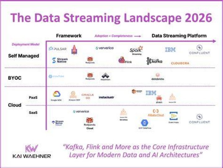 Indian adult content streaming landscape overview