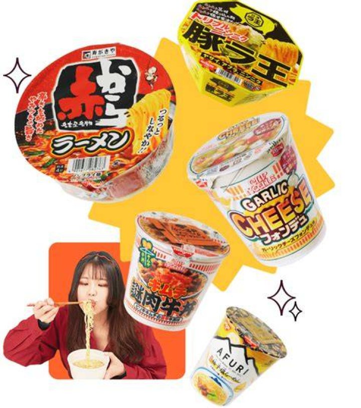 Japanese adult video genre categories