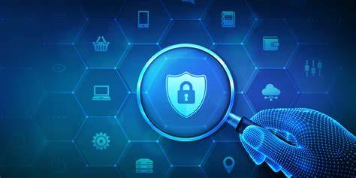 Online security and privacy risks on archive websites