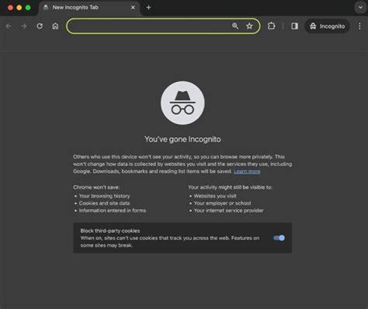 Private browser settings and incognito mode for adult sites