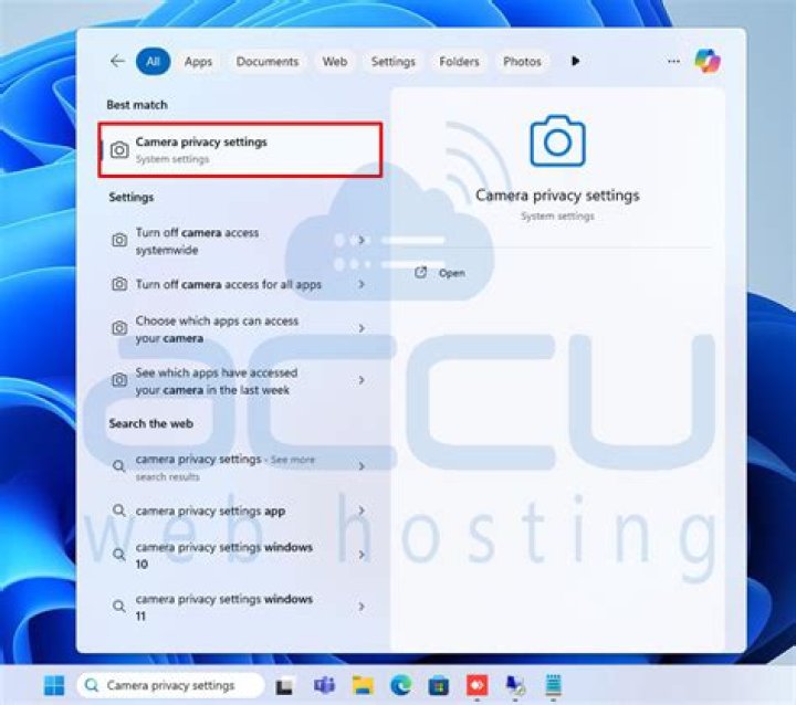 Webcam hosting privacy controls